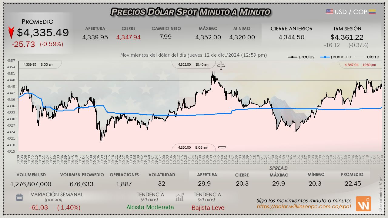 Gráfica comportamiento dólar spot 2024-12-12