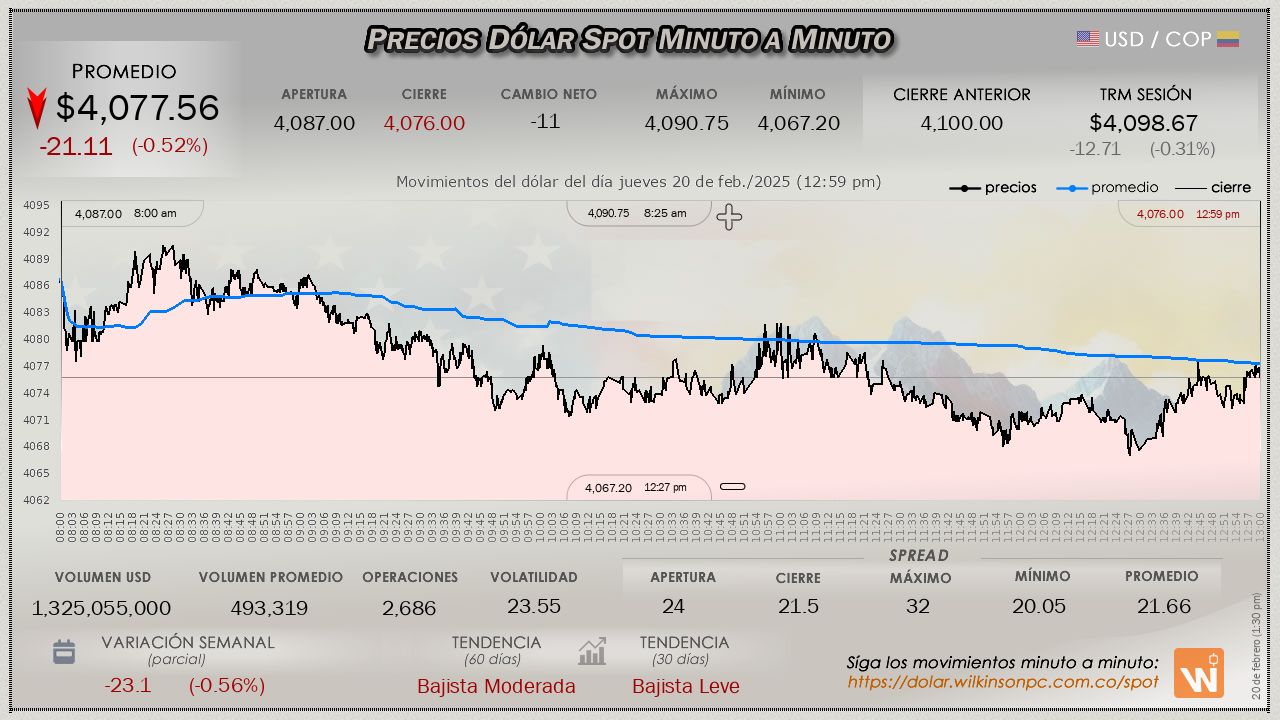 Gráfica comportamiento dólar spot 2025-02-20