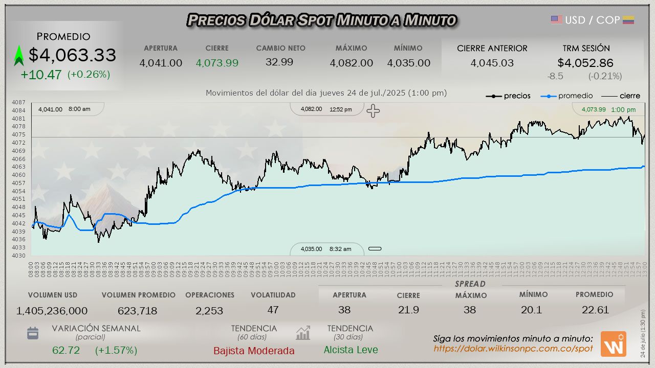 Gráfica comportamiento dólar spot 2025-07-24